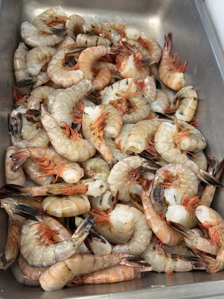 03 Shrimp